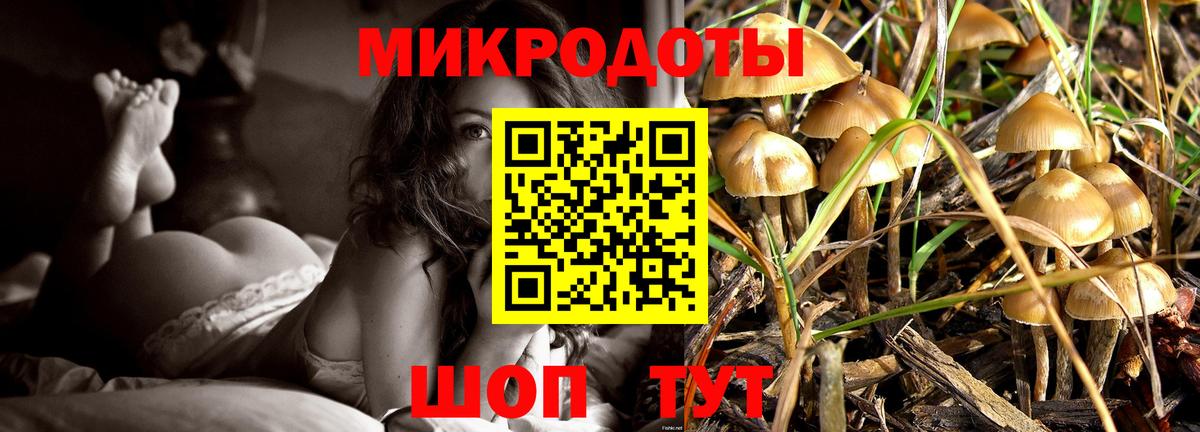 Псилоцибиновые грибы прущие грибы  Вход с VPN  Псилоцибиновые грибы прущие грибы  Губкинский 