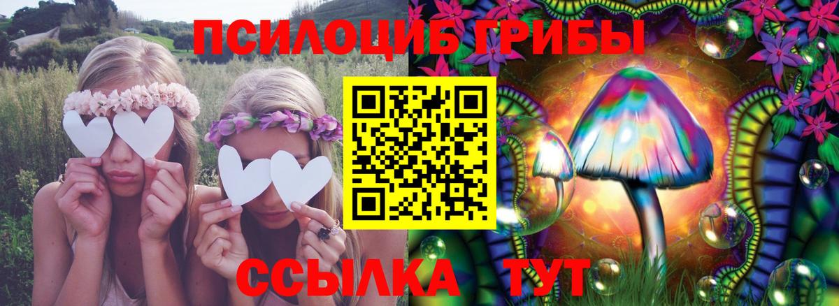 Псилоцибиновые грибы Cubensis Губкинский